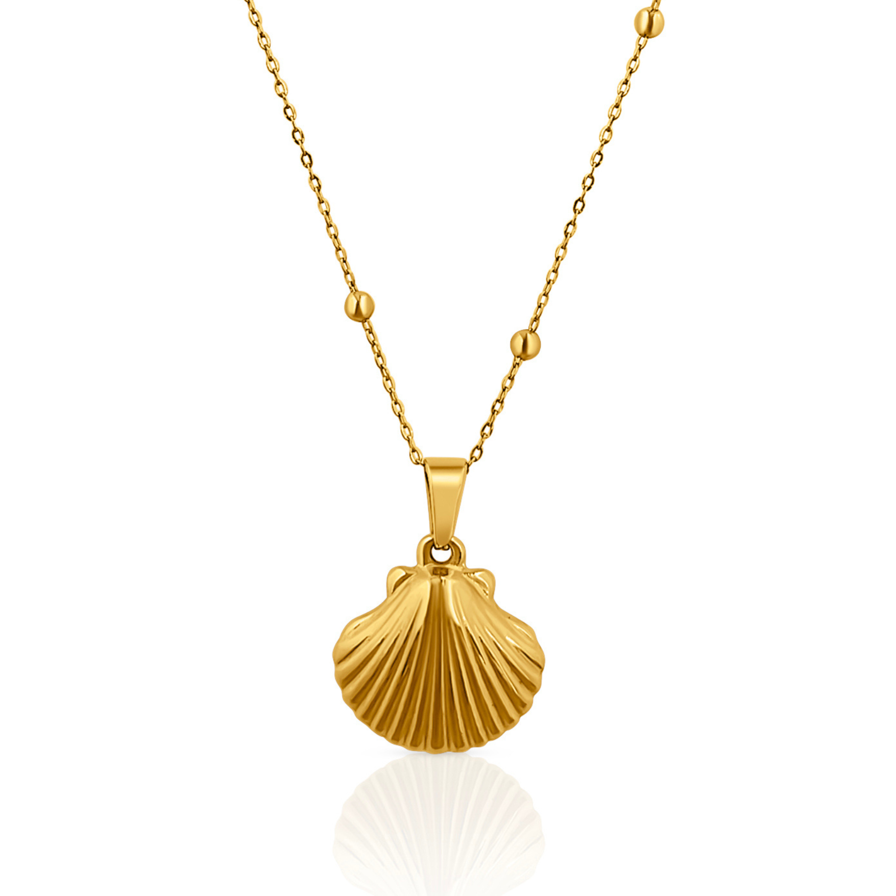Ariel Scallop Shell Gold Necklace – DORSYA