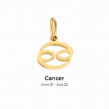 Zodiac Gold Charms