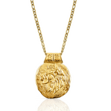 Leo ~ Zodiac Coin Necklace