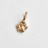 Paw Paw Gold Charm
